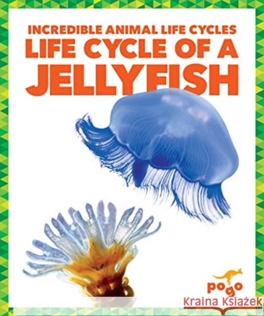 Life Cycle of a Jellyfish Karen Kenney 9781624968129 Jump! Inc.