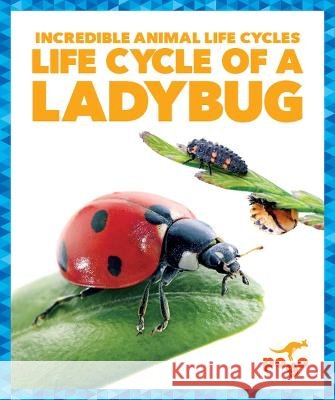 Life Cycle of a Ladybug Karen Kenney 9781624968198
