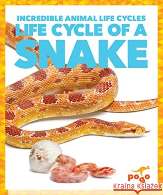 Life Cycle of a Snake Karen Kenney 9781624968211