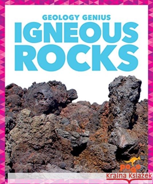 Igneous Rocks Rebecca Pettiford 9781624968334