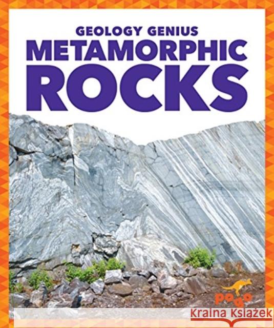 Metamorphic Rocks Rebecca Pettiford 9781624968365 Jump! Incorporated