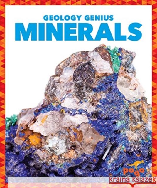 Minerals Rebecca Pettiford 9781624968396 Pogo Books