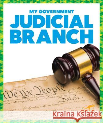 Judicial Branch Vincent Alexander 9781624969317 Jump! Inc.