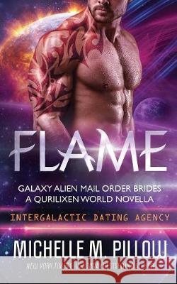 Flame: A Qurilixen World Novella Michelle M. Pillow 9781625012890