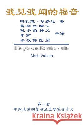 The Gospel As Revealed to Me (Vol 3) - Simplified Chinese Edition: 我见我闻的福音（第三册：耶稣光荣į Maria Valtorta, Hon-Wai Hui, 許漢偉 9781625035059 Ehgbooks