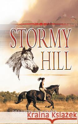 Stormy Hill Nancy Clarke 9781625164636