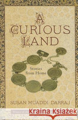 A Curious Land: Stories from Home Susan Muaddi Darraj 9781625341877