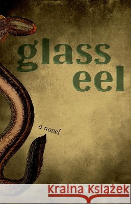Glass Eel Casey Bell 9781625349903