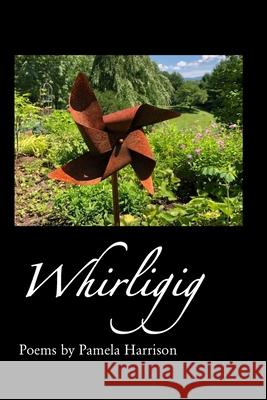 Whirligig Pamela Harrison 9781625493804 Turning Point