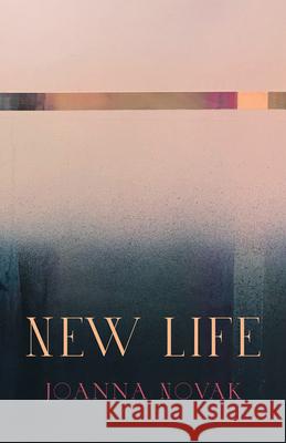 New Life Joanna Novak 9781625570277 Black Lawrence Press