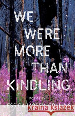 We Were More Than Kindling Jessica Morey-Collins 9781625570659