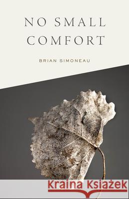 No Small Comfort Brian Simoneau 9781625578389