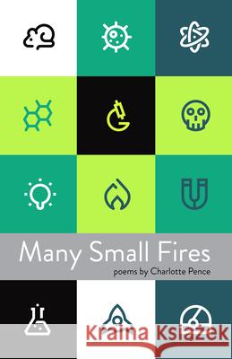 Many Small Fires Charlotte Pence 9781625579188 Black Lawrence Press