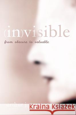Invisible: From Obscure to Valuable Ammann, Arthur J. 9781625640994 Resource Publications (OR)