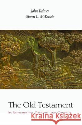 The Old Testament John Kaltner Steven Linn McKenzie 9781625642646 Wipf & Stock Publishers