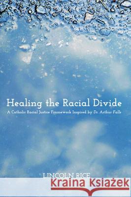 Healing the Racial Divide Lincoln Rice 9781625644749 Pickwick Publications