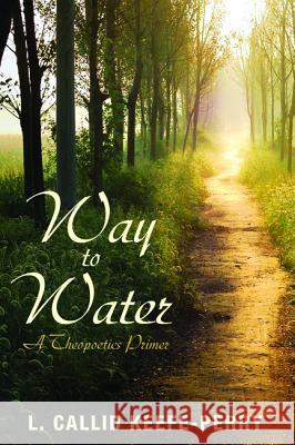 Way to Water: A Theopoetics Primer Keefe-Perry, L. Callid 9781625645203