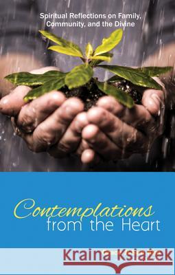 Contemplations from the Heart: Spiritual Reflections on Family, Community, and the Divine Grace Ji-Sun Kim Don McKim 9781625645425 Resource Publications (OR)