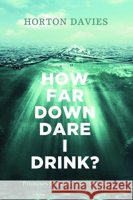 How Far Down Dare I Drink?: Promises Greater Than Dreams Horton Davies Marie-H'L'ne Davies David Cain 9781625645630