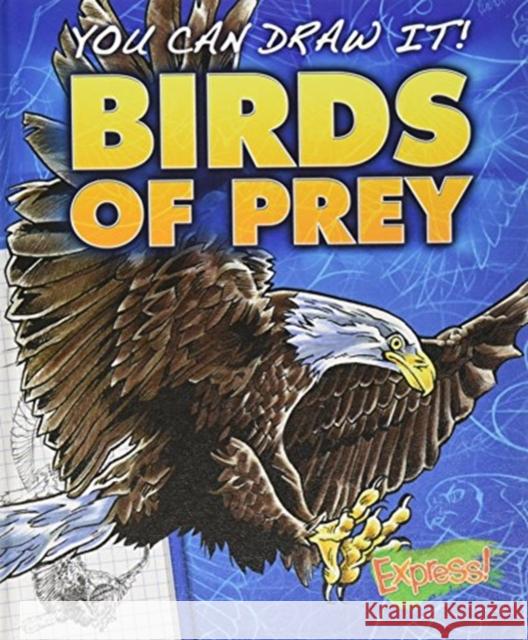 Birds of Prey Steve Porter 9781626170964 Bellwether Media