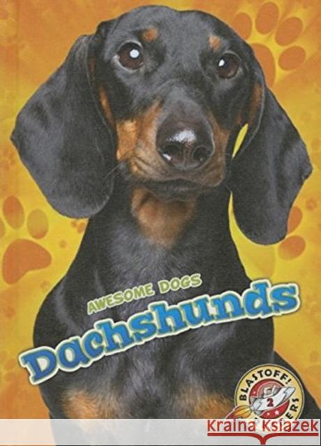 Dachshunds Mari C. Schuh 9781626172388 Blastoff! Readers Level 2