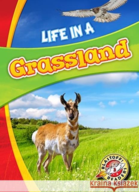 Life in a Grassland Laura Hamilto 9781626173187 Blastoff! Readers Level 3