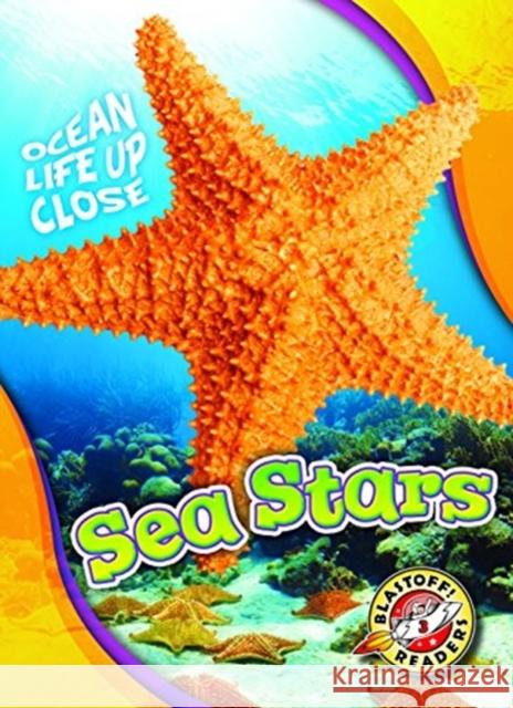 Sea Stars Rebecca Pettiford 9781626174214