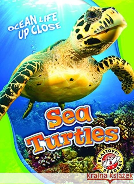 Sea Turtles Kari Schuetz 9781626174221