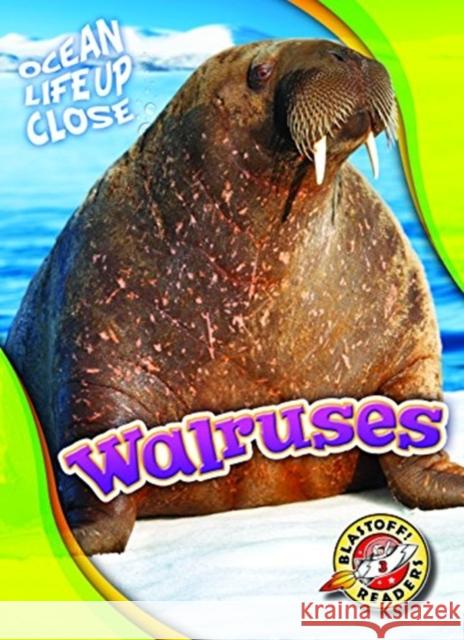 Walruses Kari Schuetz 9781626174245