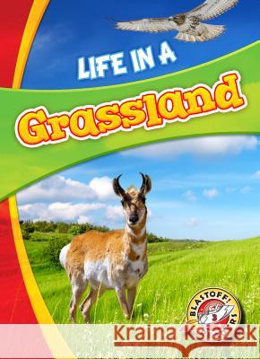 Life in a Grassland Laura Hamilton Waxman 9781626175136