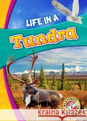 Life in a Tundra Kari Schuetz 9781626175150