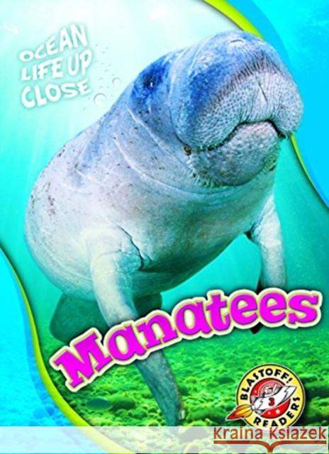 Manatees Rebecca Pettiford 9781626175709