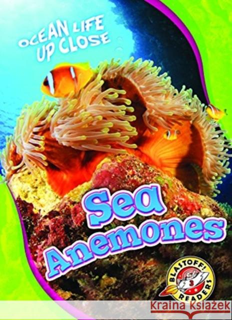 Sea Anemones Mari Schuh 9781626175730 Blastoff! Readers