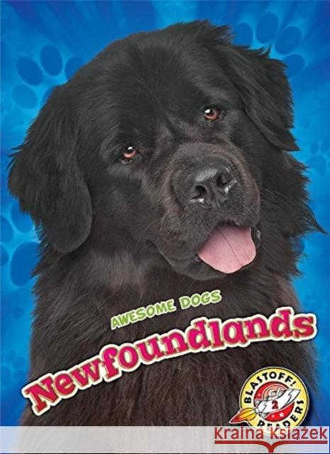 Newfoundlands Nathan Sommer 9781626176140 Bellwether Media Inc.