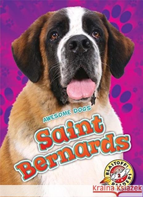 Saint Bernards Nathan Sommer 9781626176157 Bellwether Media