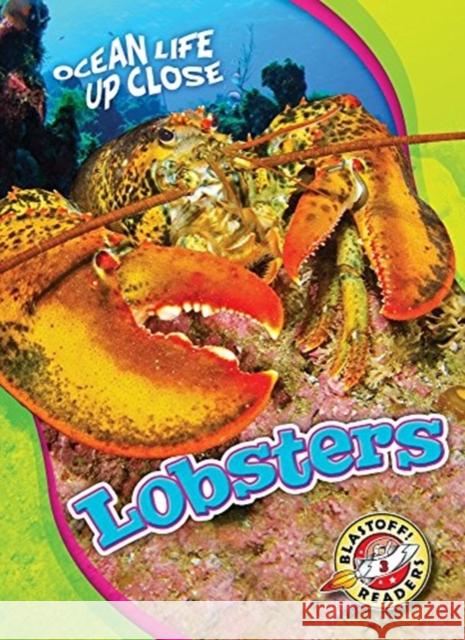 Lobsters Heather Adamson 9781626176423