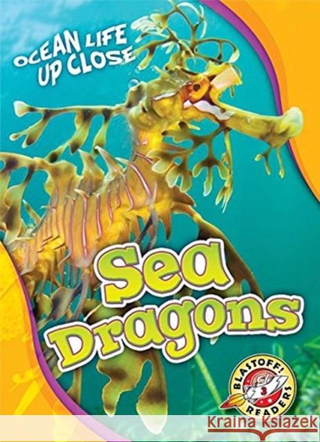 Sea Dragons Heather Adamson 9781626176447 Blastoff! Readers