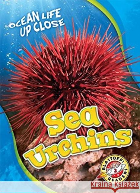 Sea Urchins Heather Adamson 9781626176461