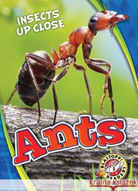 Ants Patrick Perish 9781626176577 Blastoff! Readers