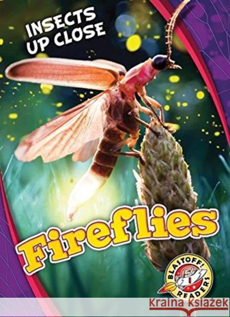 Fireflies Christina Leaf 9781626176645