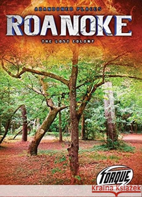 Roanoke: The Lost Colony Kari Schuetz 9781626176980