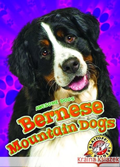 Bernese Mountain Dogs Rebecca Sabelko 9781626177390 Blastoff! Readers