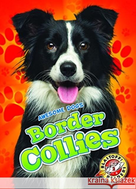 Border Collies Rebecca Sabelko 9781626177406 Blastoff! Readers