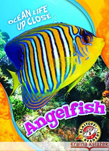 Angelfish Nathan Sommer 9781626177642 Blastoff! Readers