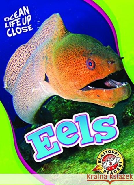 Eels Nathan Sommer 9781626177659 Blastoff! Readers