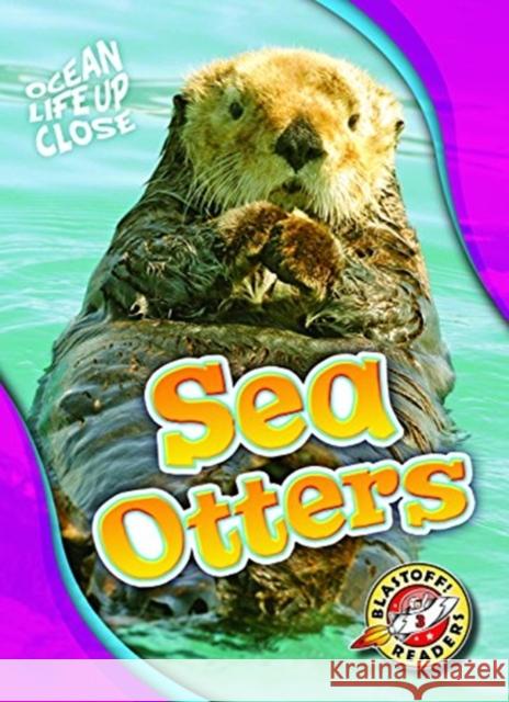 Sea Otters Nathan Sommer 9781626177666 Blastoff! Readers