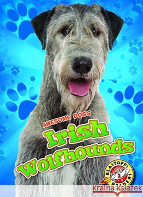 Irish Wolfhounds Paige V. Polinsky 9781626177925 Bellwether Media