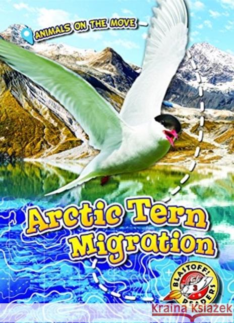 Arctic Tern Migration Kari Schuetz 9781626178137