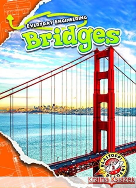 Bridges Chris Bowman 9781626178212