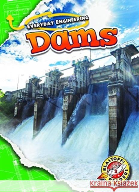 Dams Chris Bowman 9781626178229